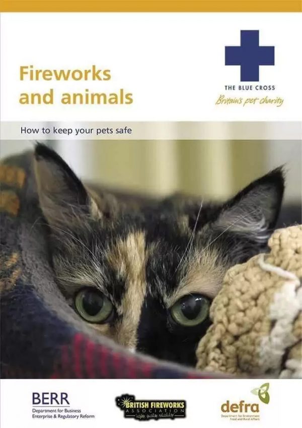 How to keep your pets safe leaflet by the blue cross